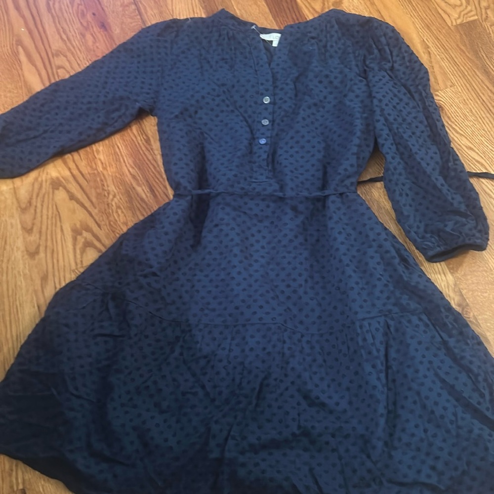 Ann Taylor loft blue dress xs
